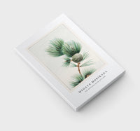 Megata Morikaga - Gayo matsu pine during 1870–1880