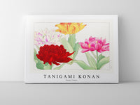 Tanigami Konan - Peony flower