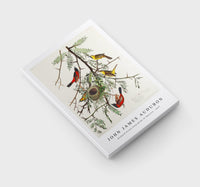 John James Audubon - Orchard Oriole from Birds of America (1827)