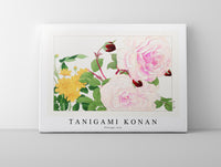 Tanigami Konan - Vintage rose