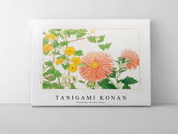 Tanigami Konan - Thunbergia & aster flower