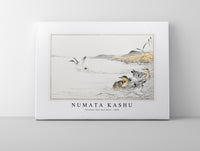 Numata Kashu - Falcated Teal and Reed illustration from Pictorial Monograph of Birds (1885)