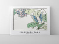 Morimoto Toko - Moth and plant illustration from Churui Gafu (1910)