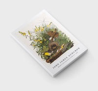 John James Audubon - Meadow Lark from Birds of America (1827)