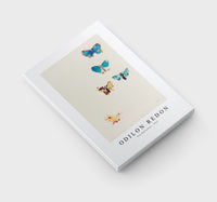 Odilon Redon - Five Butterflies 1912