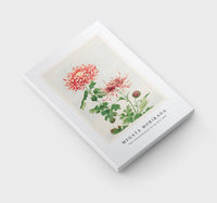 Megata Morikaga - Kiku (chrysanthemum) during 1870–1880