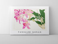 Tanigami Konan - Vintage laelia flower