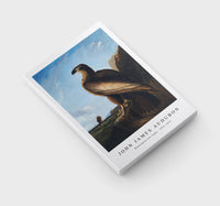 John Jadmes Audubon - Washington Sea Eagle (ca. 1836–1839)