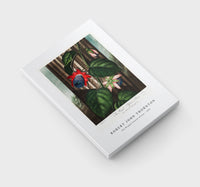 Robert John Thornton - The Winged Passion-Flower from The Temple of Flora (1807)