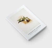 Frederick Sander - Angræcum humblotii from Reichenbachia Orchids-1847-1920