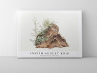 Joseph August Knip - Overgrown Rocks (ca. 1809–1812) (2)