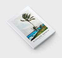 winslow homer - Palm Tree, Nassau-1898