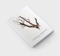 Charles demuth - Sketchbook - 1921-1935