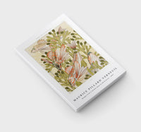 Maurice Pillard Verneuil - Rouget from L'animal dans la décoration (1897)