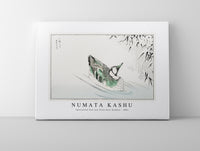 Numata Kashu - Spectacled Teal and Snow-bent Bamboo illustration from Pictorial Monograph of Birds (1885)