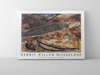 Gerrit Willem Dijsselhof -Pike fishes in an aquarium 1876-1924