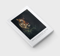 abbott handerson thayer - Tiger's Head painting in high resolution