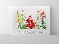 Tanigami Konan - Vintage antirrhinum flower