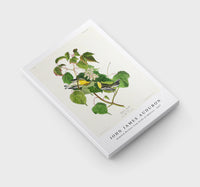 John James Audubon - Hemlock Warbler from Birds of America (1827)