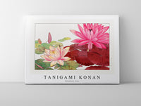 Tanigami Konan - Nymphaea lotus