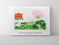 Tanigami Konan - Vintage geranium flower