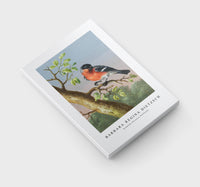 Barbara Regina Dietzsch - Goudvink (Eurasian Bullfinch)