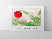 Tanigami Konan - Zinnia & white ginger lily flower