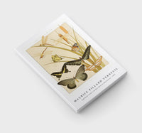 Maurice Pillard Verneuil - Papillons from L'animal dans la décoration (1897)