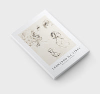 Leonardo Da Vinci - Sheet of Studies 1470-1480