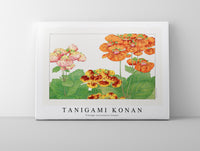 Tanigami Konan - Vintage calceolaria flower
