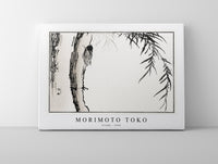 Morimoto Toko - Cicada illustration from Churui Gafu (1910)