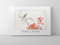 Numata Kashu - Japanese Yellow Bunting and Chinese Amaranth illustration from Pictorial Monograph of Birds (1885)