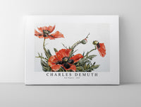 Charles demuth - Red Poppies-1929