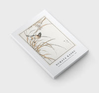 Numata Kashu - Japanese Grey Bunting and Rise Plant illustration from Pictorial Monograph of Birds (1885)