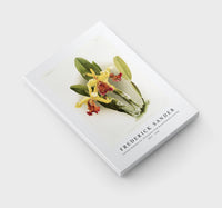 Frederick sander - Cattleya dowiana var chrysotoxa from Reichenbachia Orchids-1847-1920