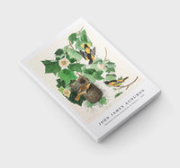 John James Audubon - Baltimore Oriole from Birds of America (1827)
