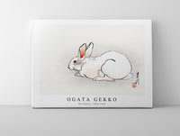 Ogata Gekko - Wit konijn (1900–1910)