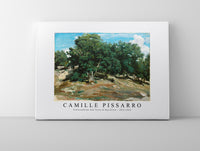 Camille Pissarro - Fontainebleau Oak Trees at Bas-Bréau 1832-1833