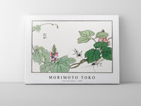 Morimoto Toko - Leaf and flower illustration from Churui Gafu (1910)