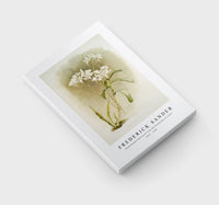 Frederick Sander - Dendrobium Johnsoniæ from Reichenbachia Orchids-1847-1920