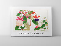 Tanigami Konan - Fuchsia flower