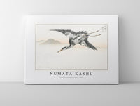 Numata Kashu - Eastern Common Crane illustration from Pictorial Monograph of Birds (1885)