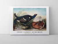 John James Audubon - English Black Cocks (1828)