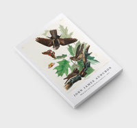 John James Audubon - Whip-poor-will from Birds of America (1827)