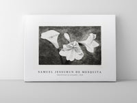 Samuel Jessurun De Mesquita-Amaryllissen en aronskelk (1918)