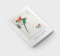 Numata Kashu - Japanese Long-tailed Tit and Pomegranate illustration from Pictorial Monograph of Birds (1885)