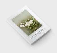 Frederick Sander - Cattleya trianæ alba from Reichenbachia Orchids-1847-1920