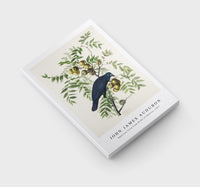 John James Audubon - American Crow from Birds of America (1827)