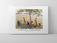 Camille Pissarro - Apple Harvest 1888