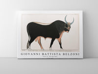 Giovanni Battista Belzoni - Plate 15  The Apis Bull 1778-1823
